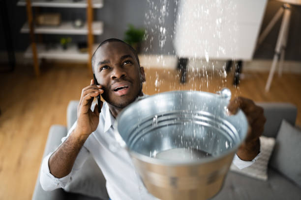 Best Water damage restoration specialists  in Pierre Part, LA