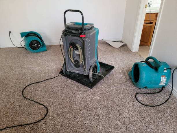 Best Water damage restoration cost  in Pierre Part, LA