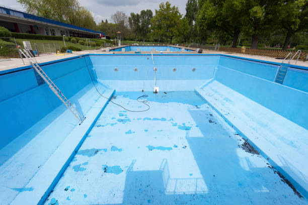 Best Basement water damage restoration  in Pierre Part, LA