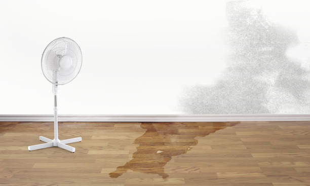 Best Water damage restoration experts  in Pierre Part, LA
