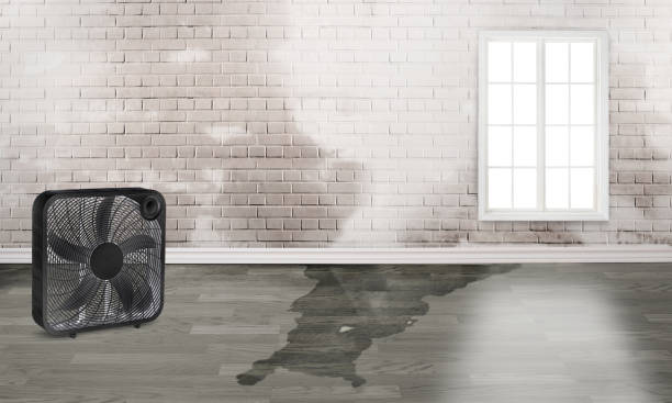  Pierre Part, LA Water damage restoration Pros