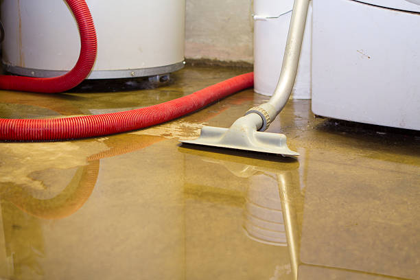 , LA Water damage restoration Company