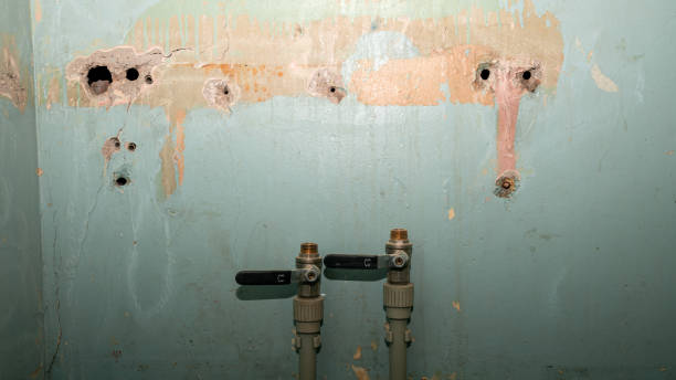 Best Ceiling water damage repair  in Pierre Part, LA