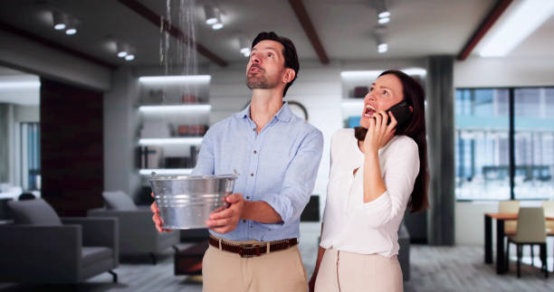 Best Fire Damage Restoration  in Pierre Part, LA